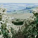 Country house Le Val Suzenay *