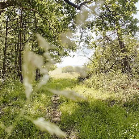 Le Val Suzenay