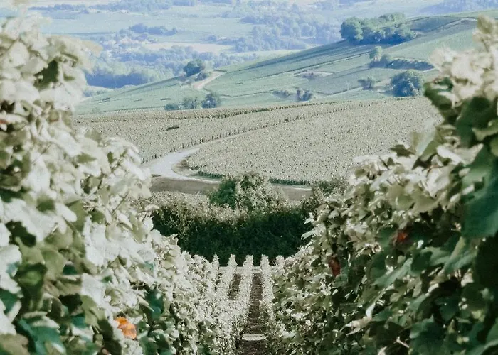 Country house Le Val Suzenay *