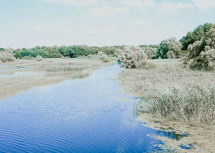 Le Val Suzenay Country house Vendeuvre-sur-Barse